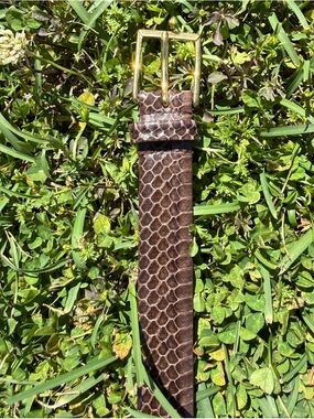 Austin Grey Skinny Genuine Snakeskin Shiny Brown Brass Buckle Belt Size 32